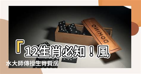 2023買房生肖|2023年12生肖買房運勢曝！命理師大推：「這2類人」。